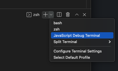 VSCode JS Debug Terminal